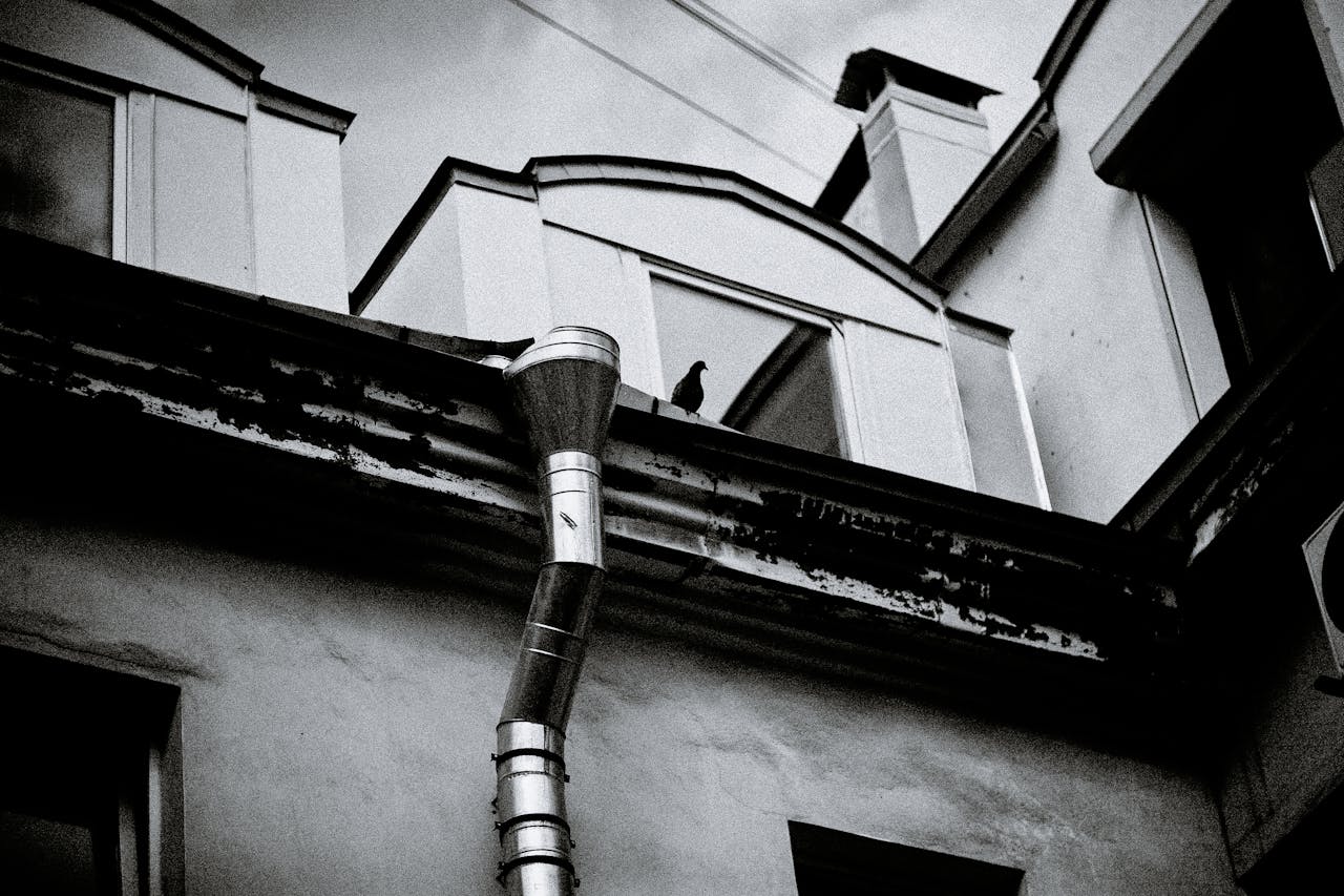 Hydro Jetting & Advanced Drain Cleaning Santa Rosa CA